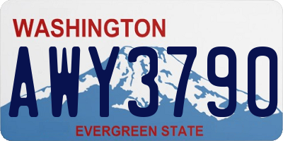 WA license plate AWY3790