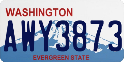 WA license plate AWY3873
