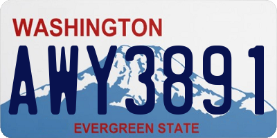 WA license plate AWY3891
