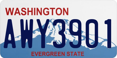 WA license plate AWY3901