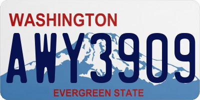 WA license plate AWY3909
