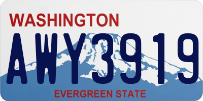 WA license plate AWY3919