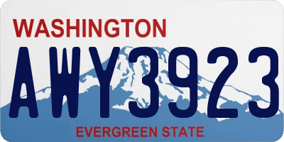 WA license plate AWY3923