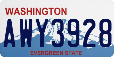 WA license plate AWY3928