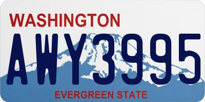 WA license plate AWY3995