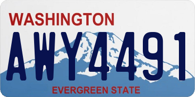 WA license plate AWY4491