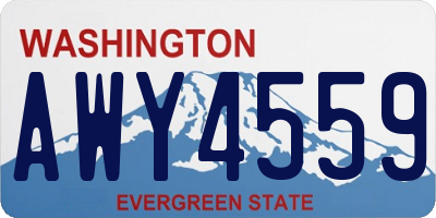 WA license plate AWY4559