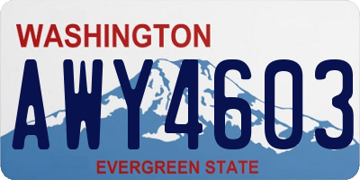 WA license plate AWY4603