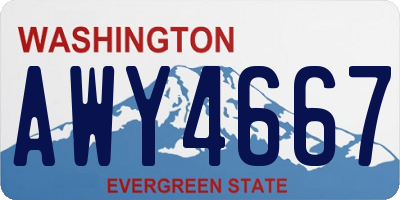 WA license plate AWY4667