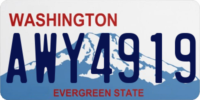 WA license plate AWY4919
