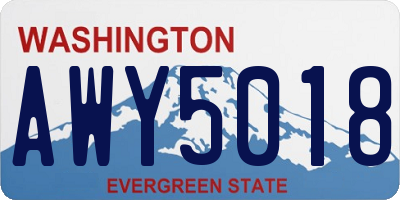 WA license plate AWY5018