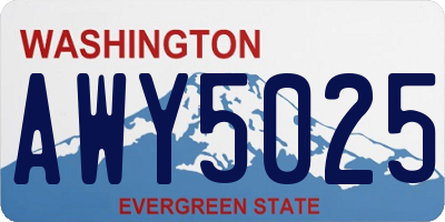 WA license plate AWY5025