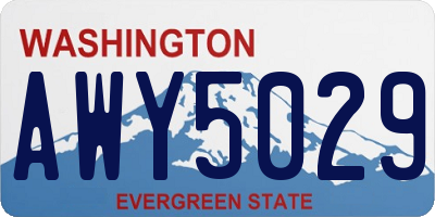 WA license plate AWY5029