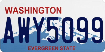 WA license plate AWY5099