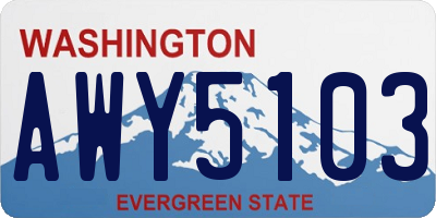 WA license plate AWY5103