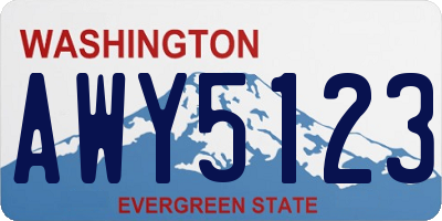 WA license plate AWY5123
