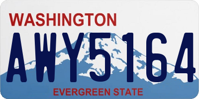 WA license plate AWY5164