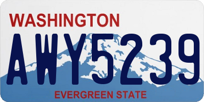 WA license plate AWY5239