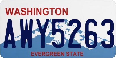 WA license plate AWY5263