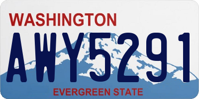 WA license plate AWY5291