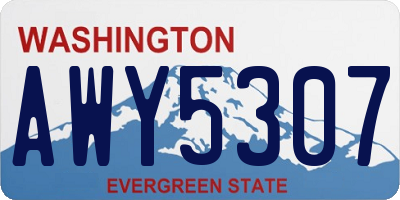 WA license plate AWY5307