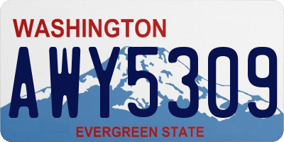 WA license plate AWY5309