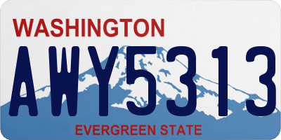 WA license plate AWY5313