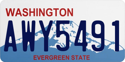 WA license plate AWY5491
