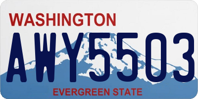 WA license plate AWY5503