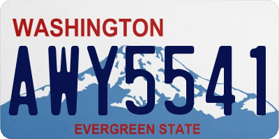WA license plate AWY5541