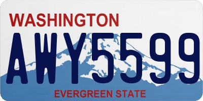 WA license plate AWY5599