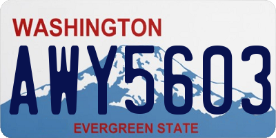 WA license plate AWY5603