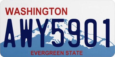 WA license plate AWY5901