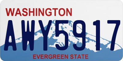 WA license plate AWY5917