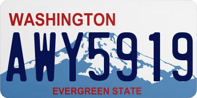 WA license plate AWY5919