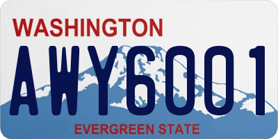 WA license plate AWY6001