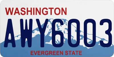 WA license plate AWY6003