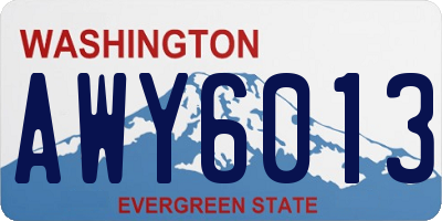 WA license plate AWY6013