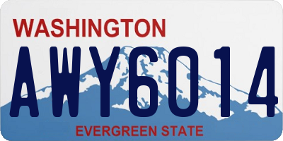 WA license plate AWY6014