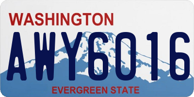 WA license plate AWY6016