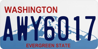 WA license plate AWY6017