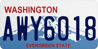 WA license plate AWY6018