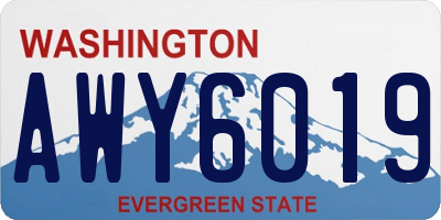 WA license plate AWY6019
