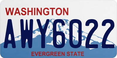 WA license plate AWY6022