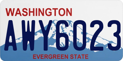 WA license plate AWY6023