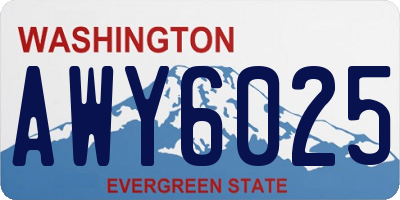 WA license plate AWY6025