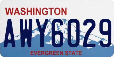 WA license plate AWY6029