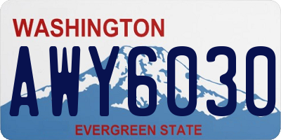 WA license plate AWY6030