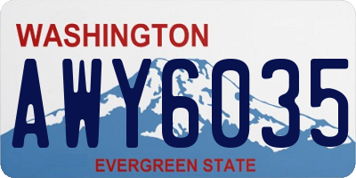 WA license plate AWY6035