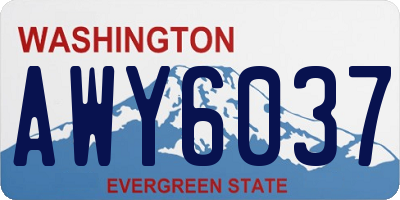 WA license plate AWY6037